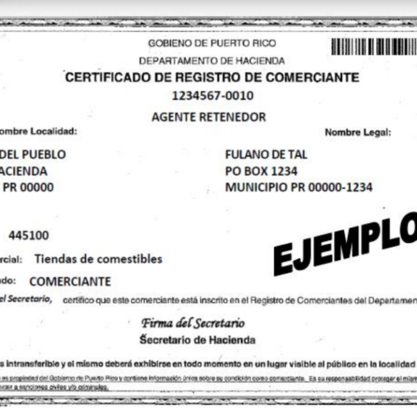 Ejemplo_RegistroComerciantes_completado